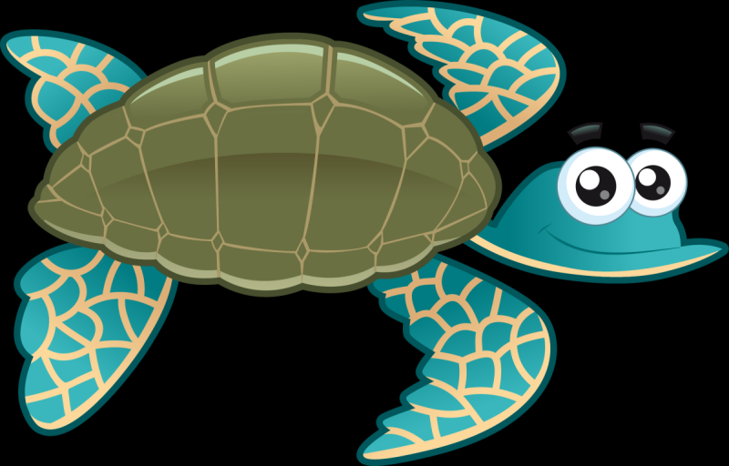 Раскраска Ракушка и черепашка