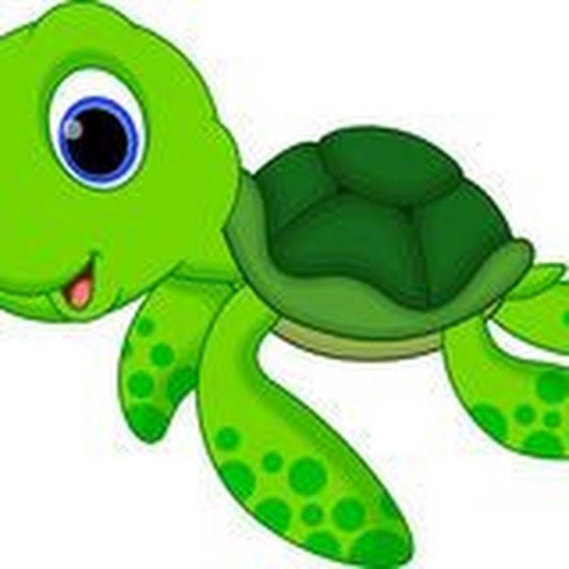 Green Sea Turtle illustration