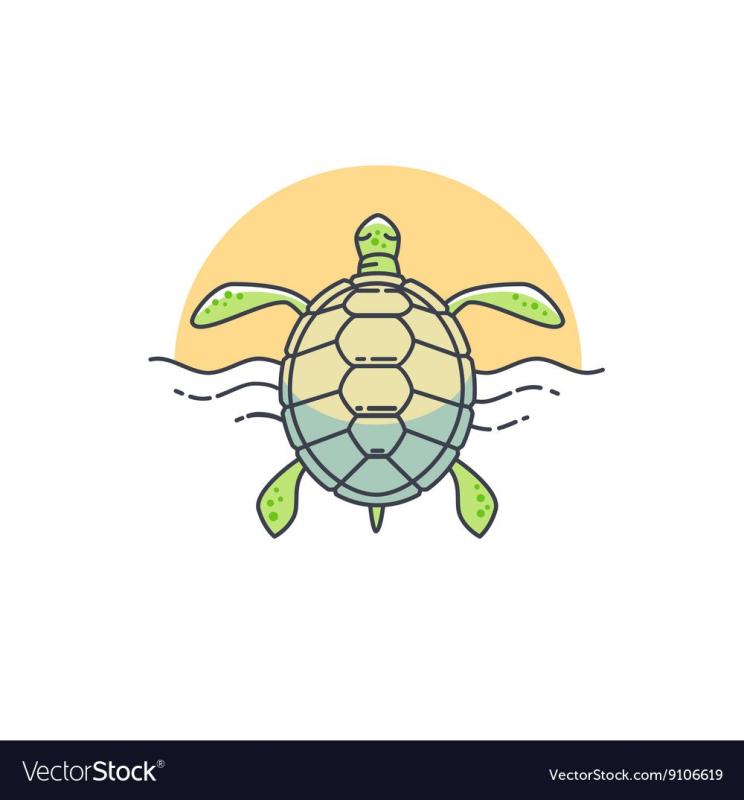 Рисование черепашка в воде