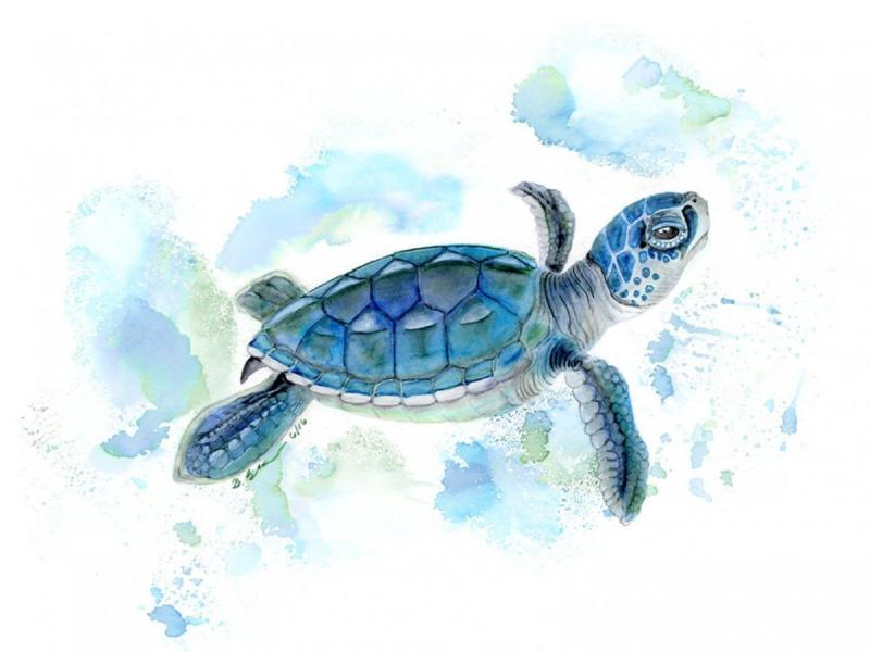 Fiji черепахи vector