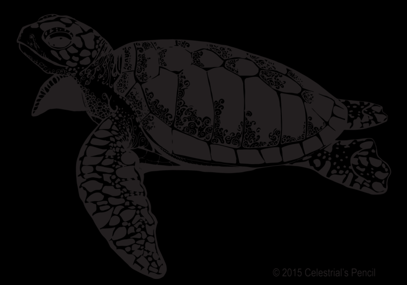 Милая черепашка рисунок