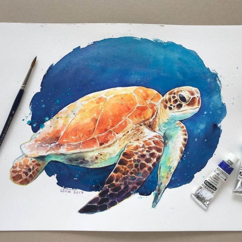 Черепаха раскраска для детей