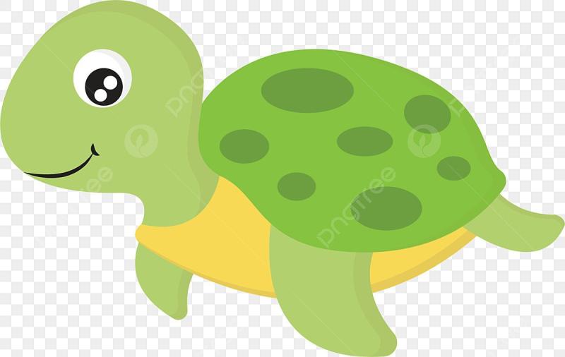 Черепаха контур