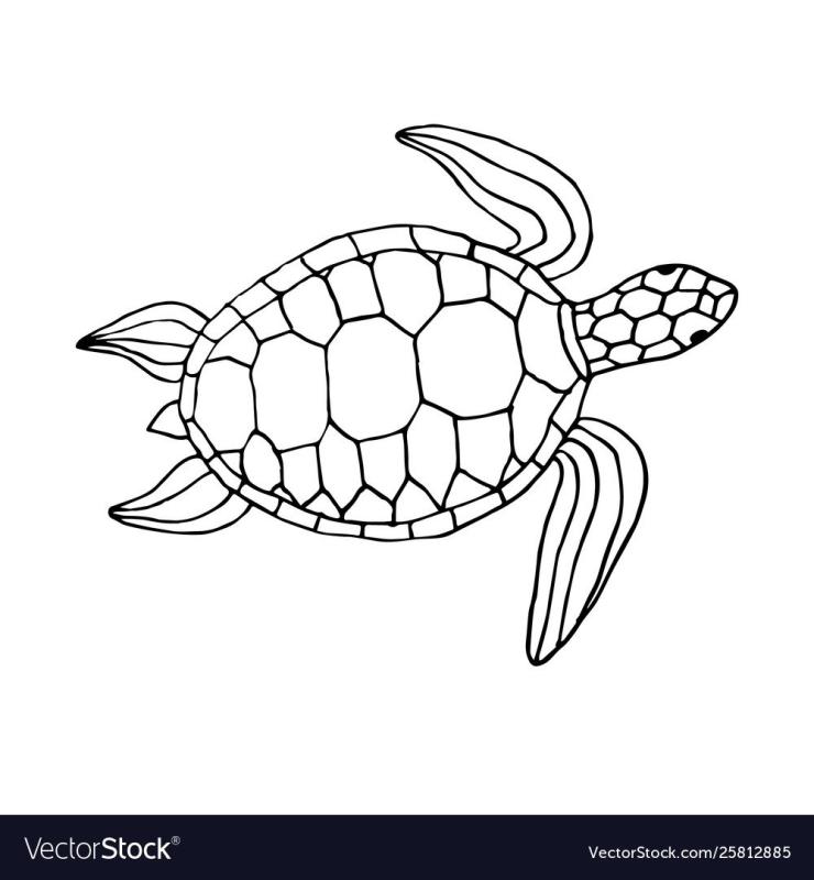 Черепаха Art вид сверху