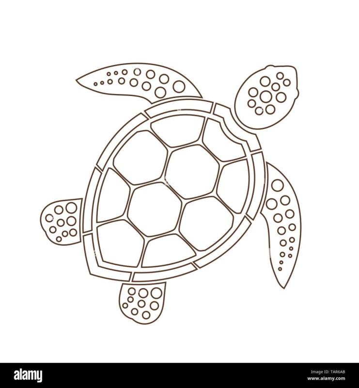 Морская черепаха ветор