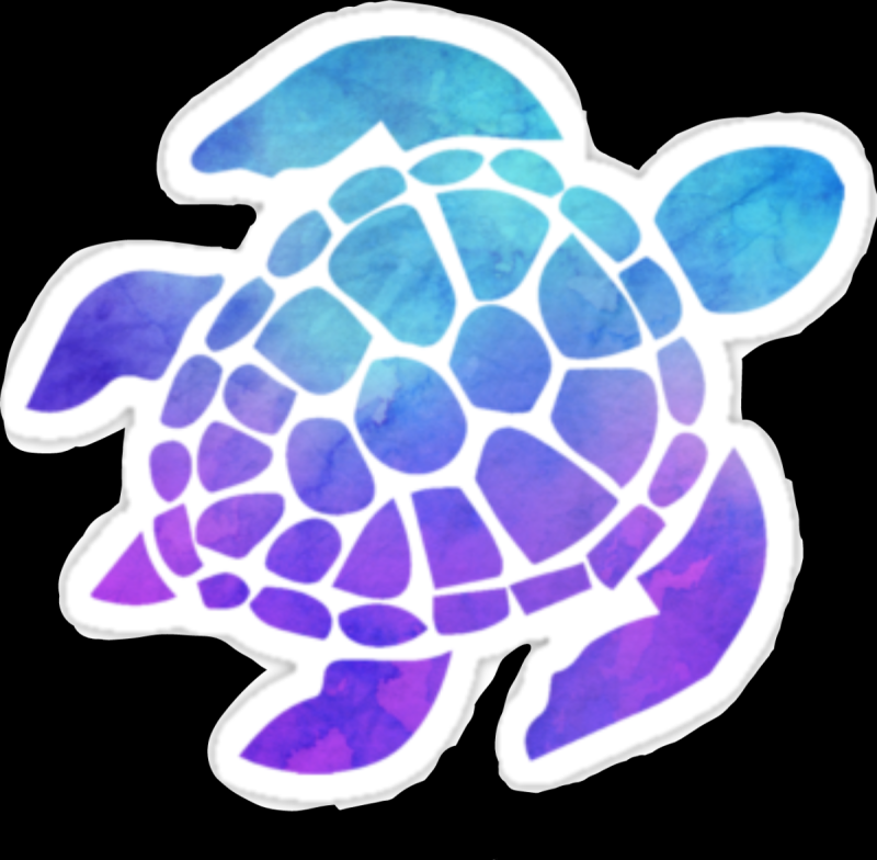 Морская черепаха рисунок акварелью