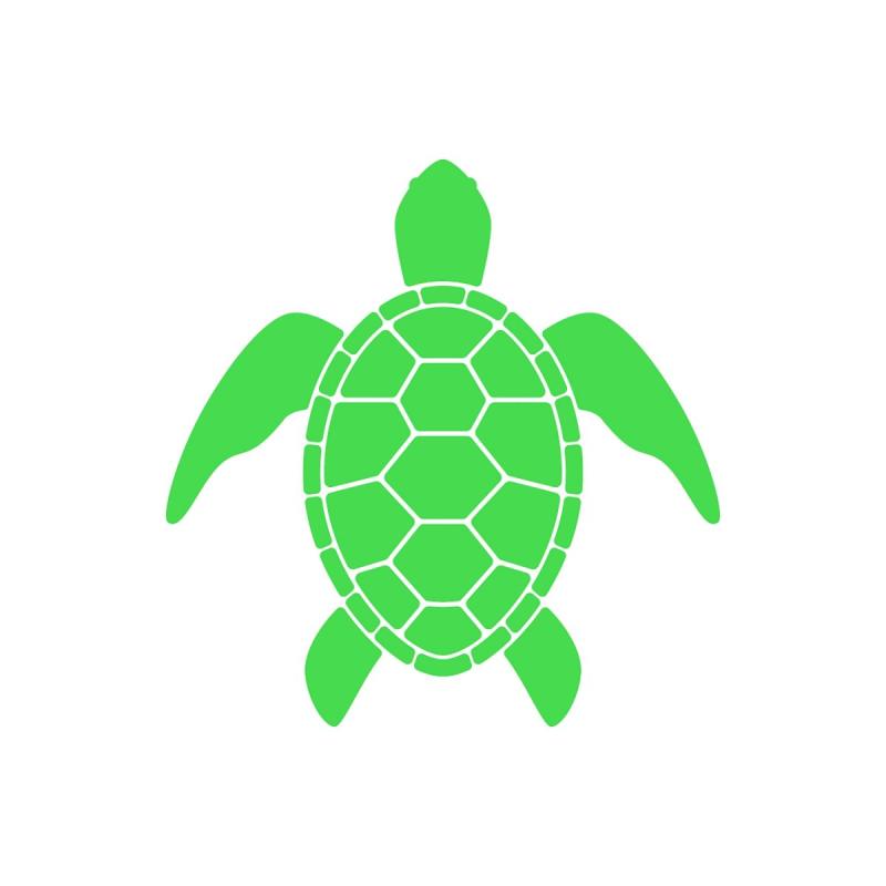 Синяя черепаха