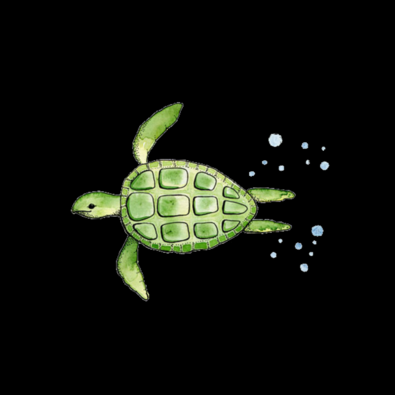 Трафареты морских черепах