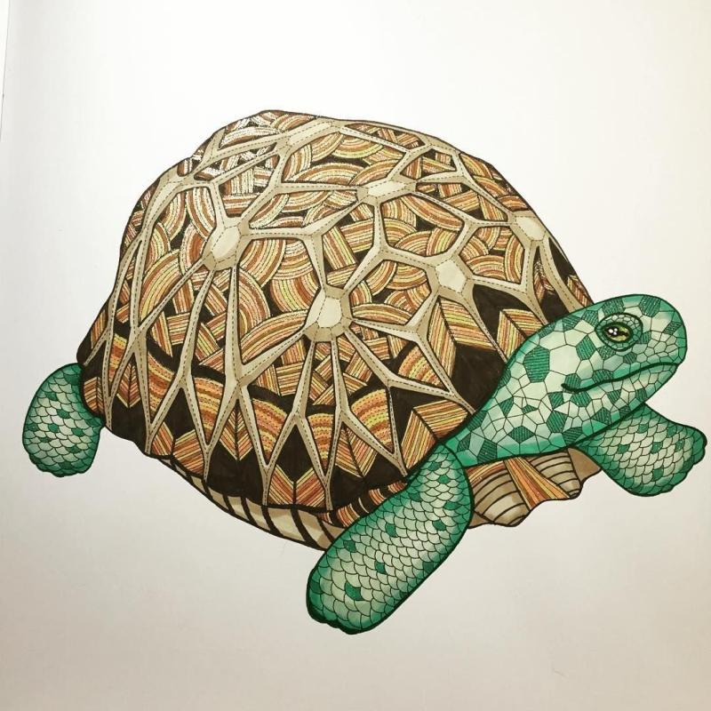 Раскрасить камушки морские черепахи