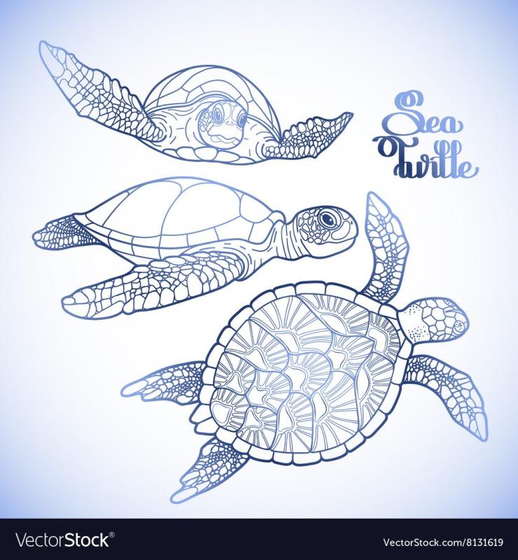 Задания и игры на тему морская черепаха для детей 3-4 лет