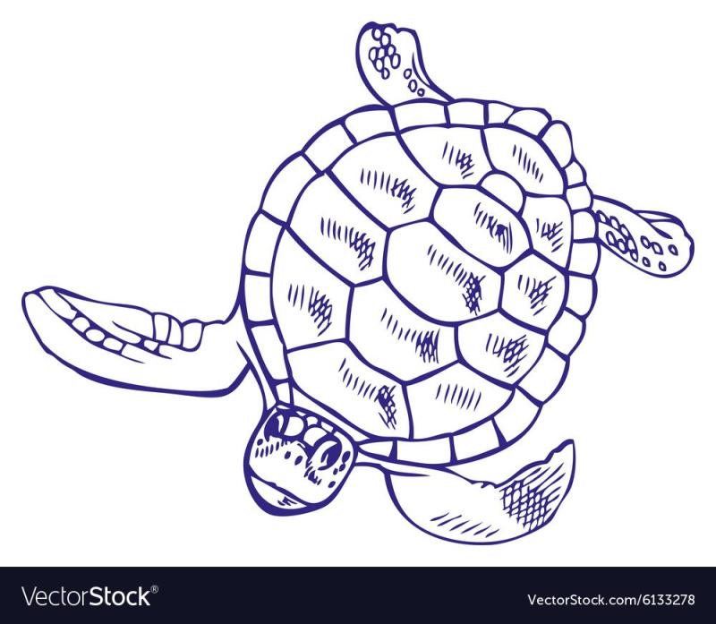 Зеленая черепаха мультик для детей