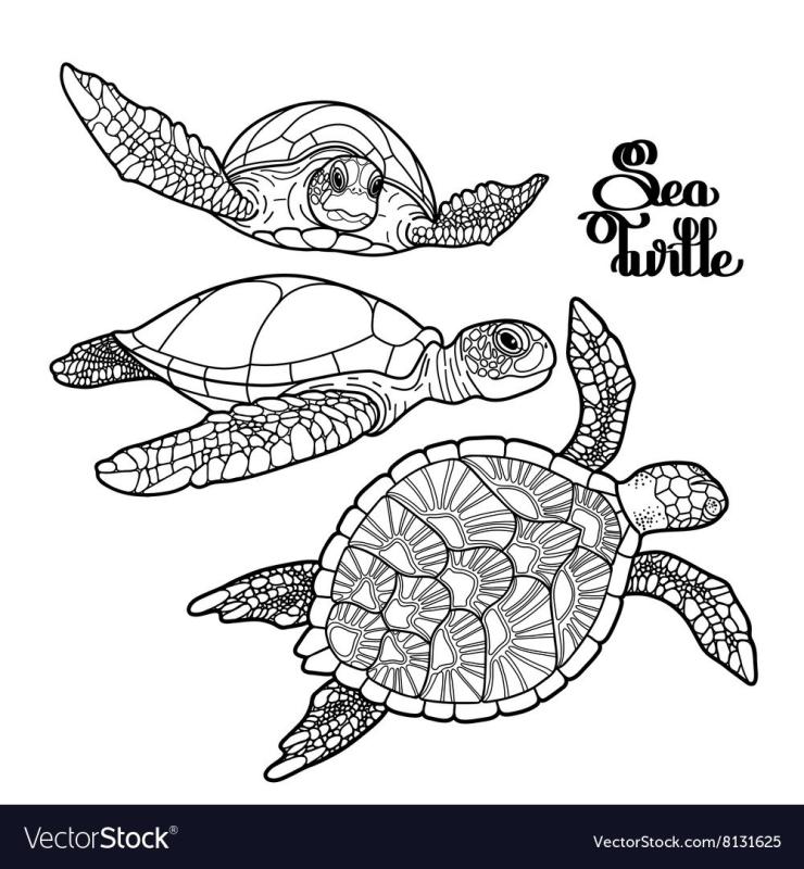 Морская черепаха арт