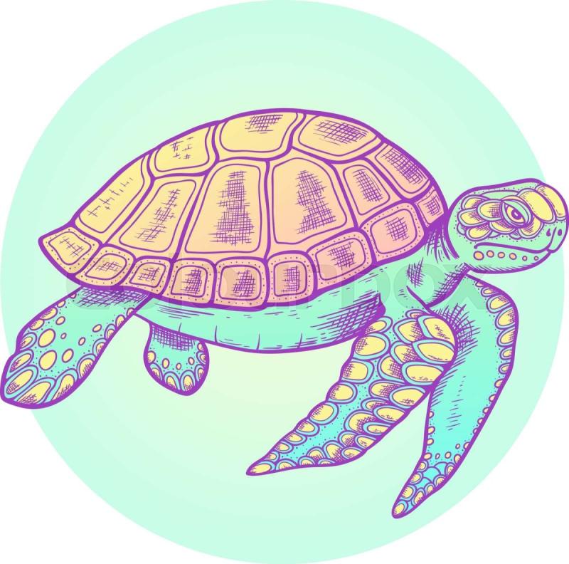 Черепаха красками для детей