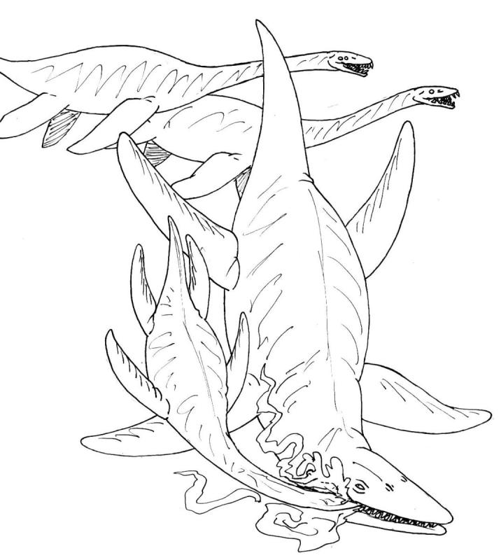 Kronosaurus queenslandicus