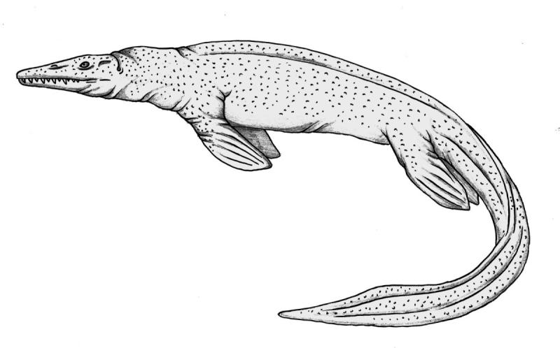 Мозазавр раскраска