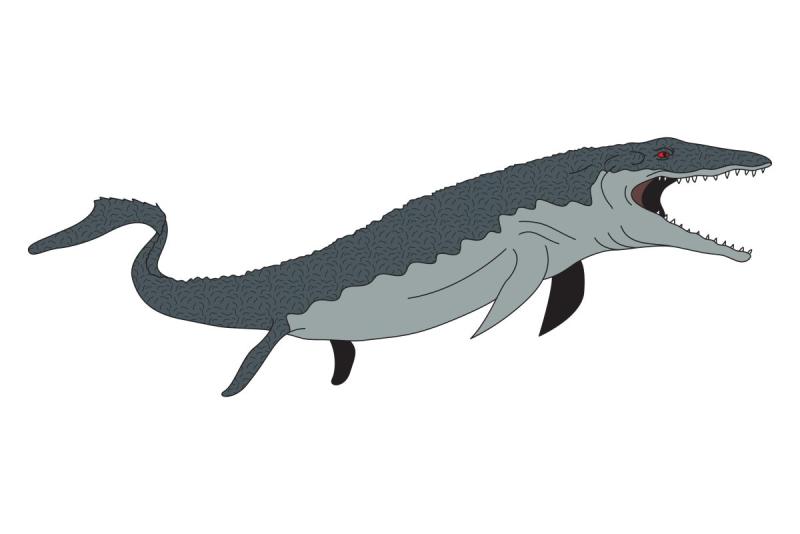 Голова МОЗАЗАВРА