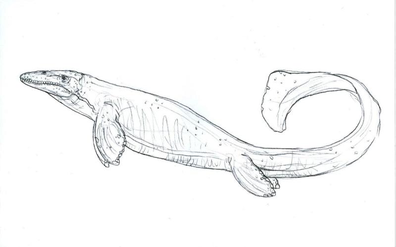 Раскраски динозавры Мозазавр