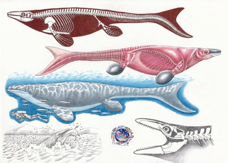 Мозазавр научная реконструкция