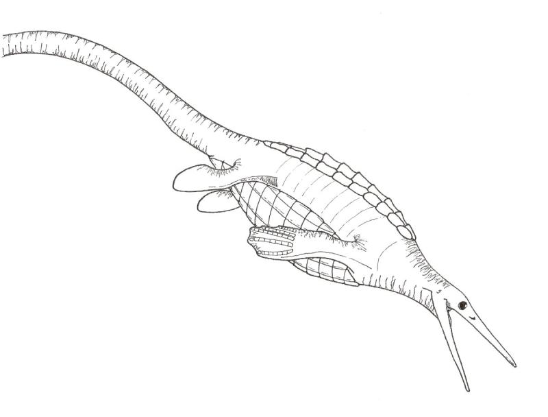 Раскраски динозавры Мозазавр