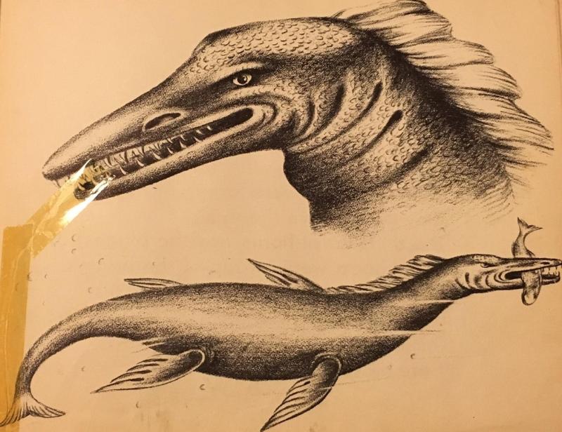 Досье на МОЗАЗАВРА