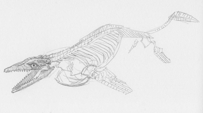 Мозазавр раскраска63