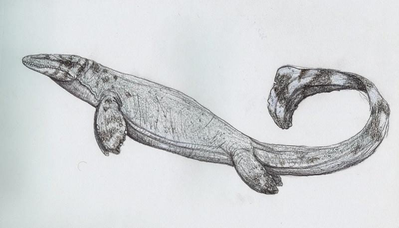 Мозазавр раскраска65