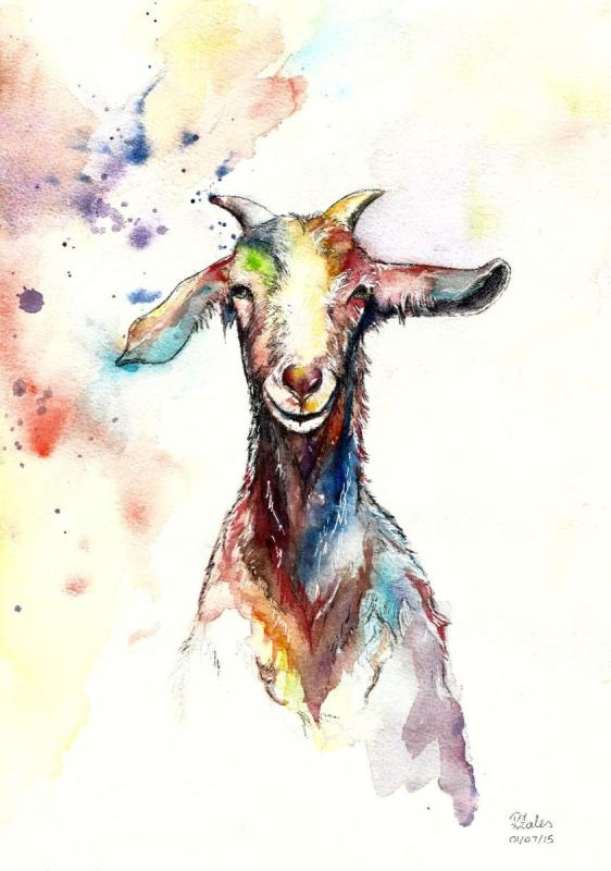Козел акварель