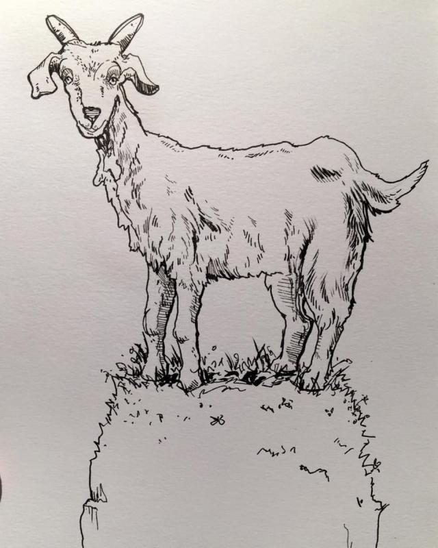 Goat коза illustration stock