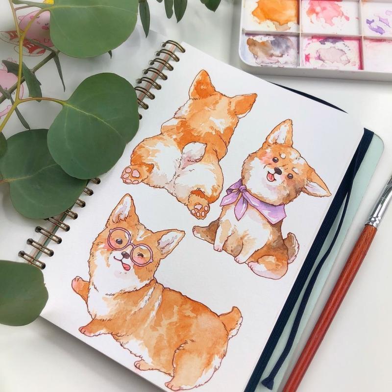 Скетчбук с корги