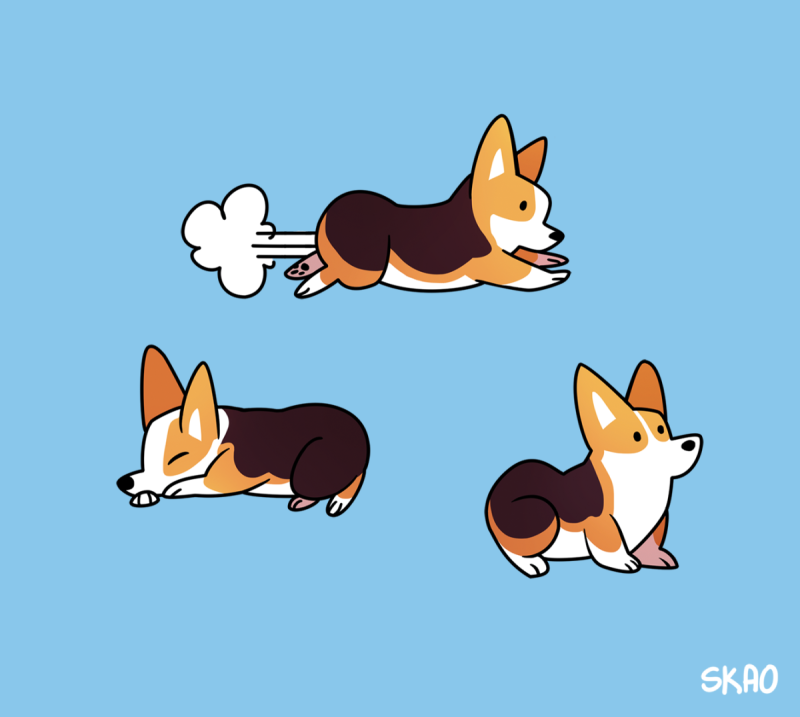 Вельш корги референс