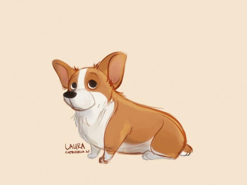 Корги амонг АС