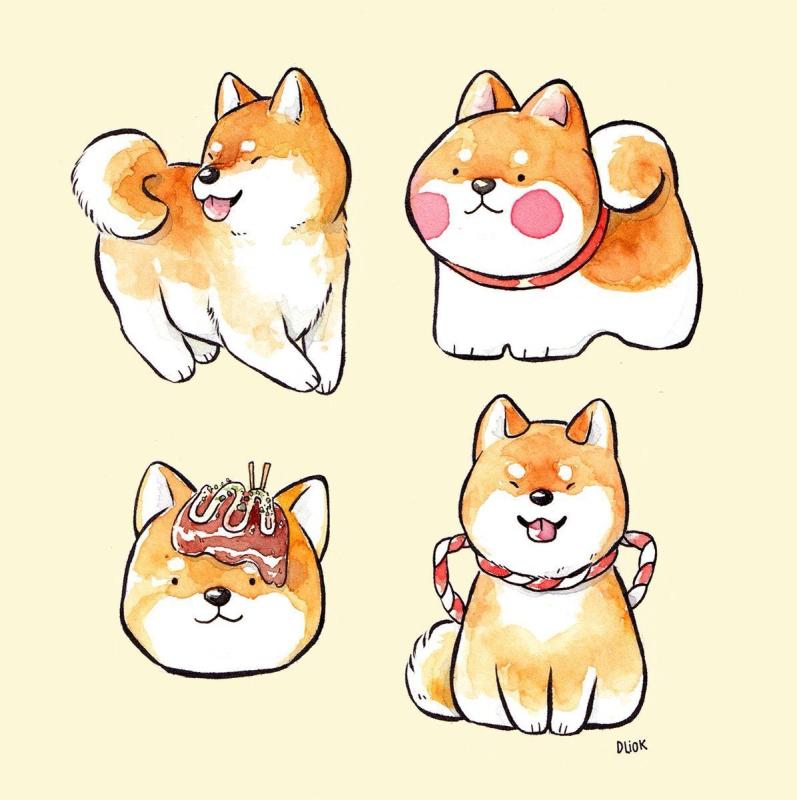 Шиба ину кавай