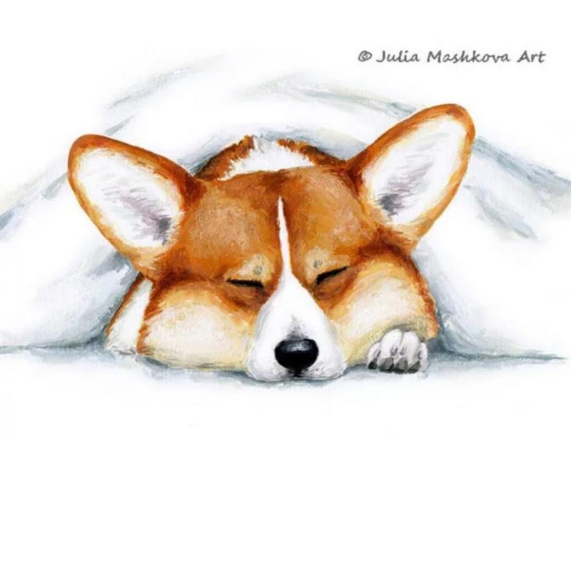 Срисовать корги