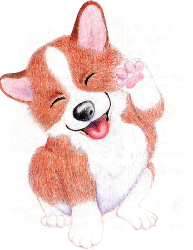 Корги рисуночек миленький