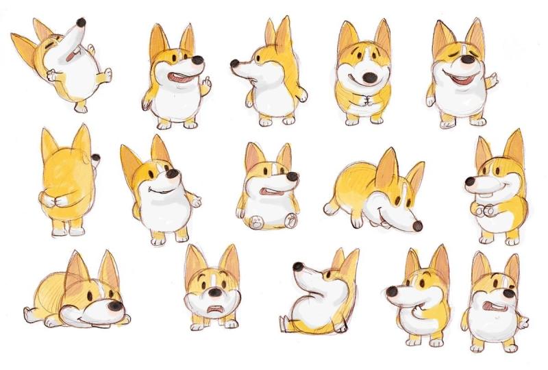 Корги вид сбоку