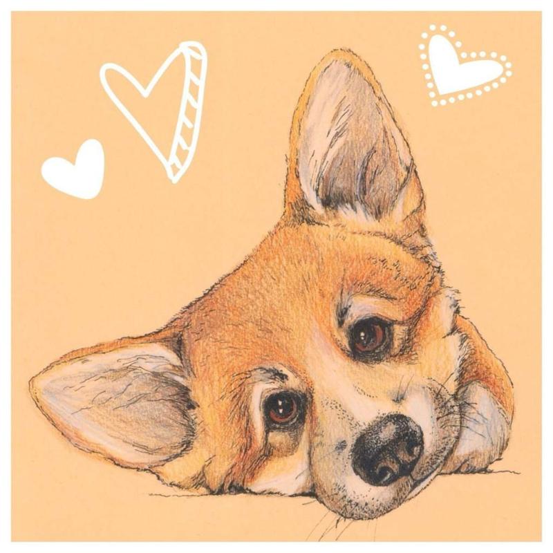 Рисунки для срисовки животных милые корги