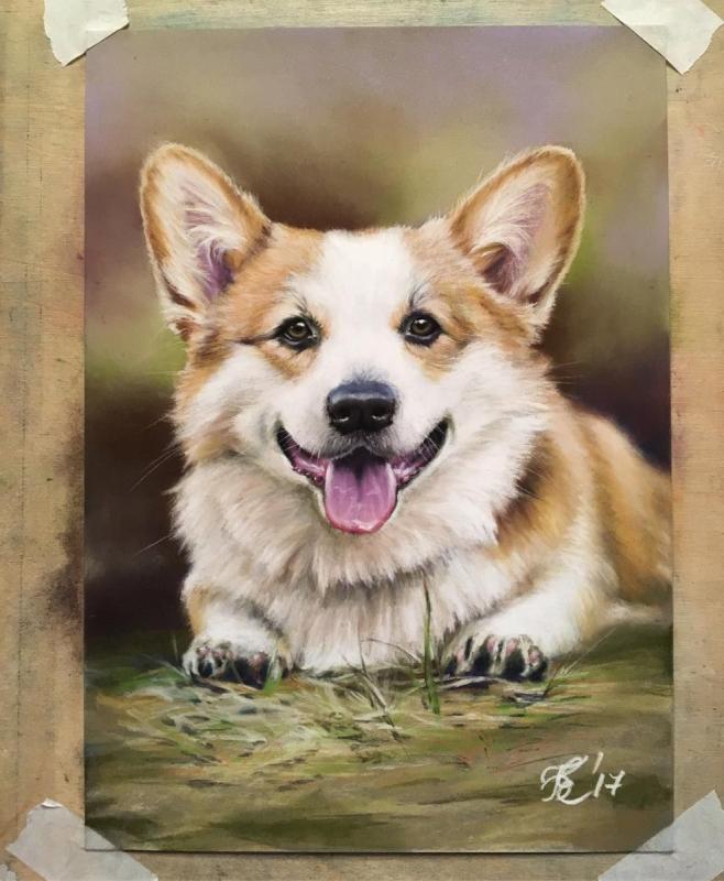 Корги пастелью