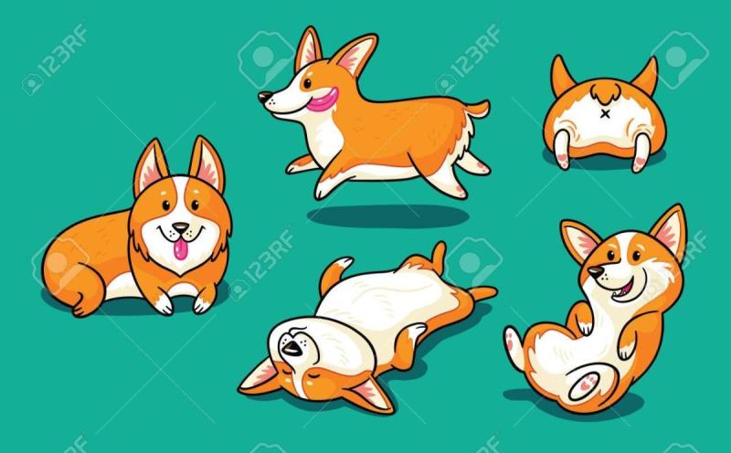 Корги рисунок