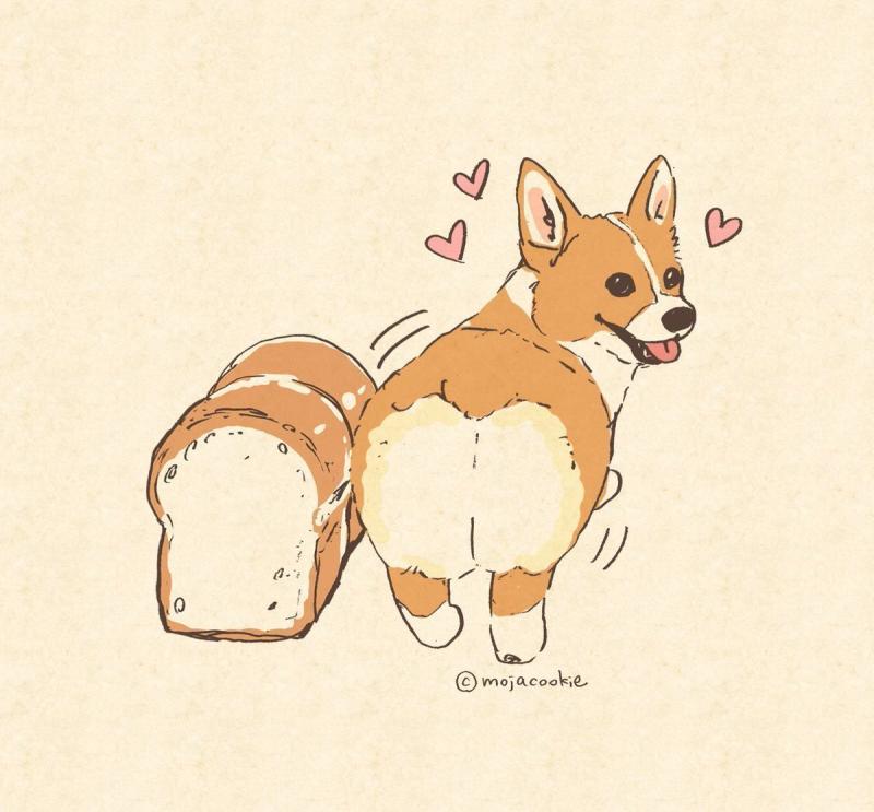 Корги сзади рисунок
