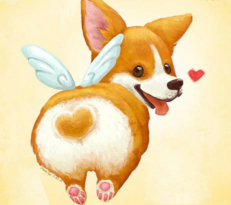 Корги НАРИСОВАНАКАРТИНКА