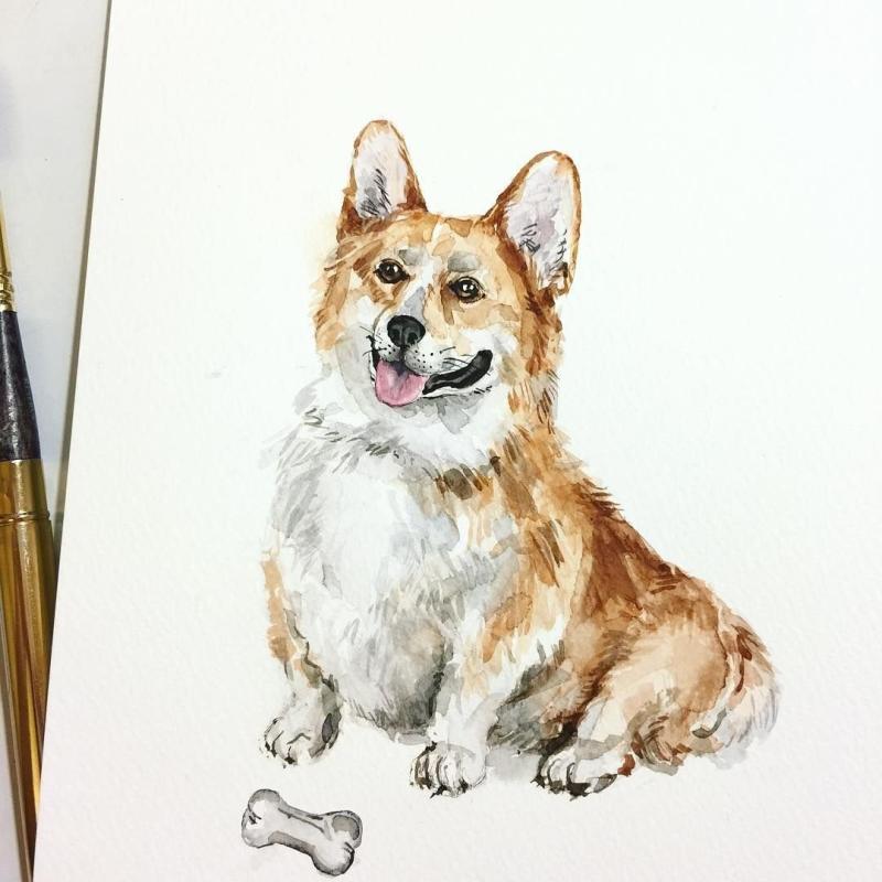 Скетчинг корги