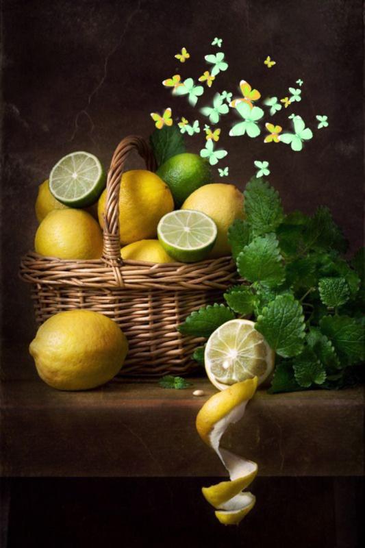 Хосе Эскофет картины мандарины