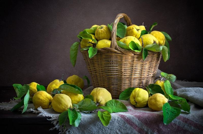 Натюрморт с лимоном акварель