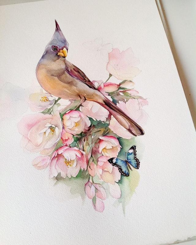 Катерина Михайлина акварель животные