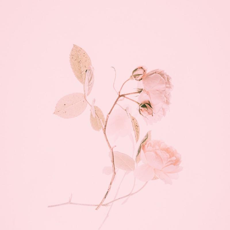 Фон в бежево розовых тонах