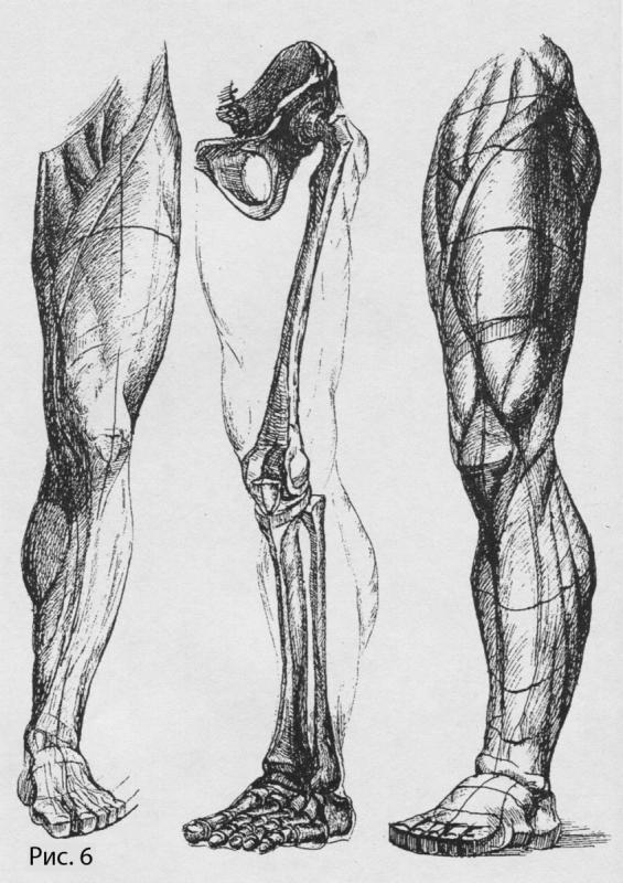 Экорше Баммес