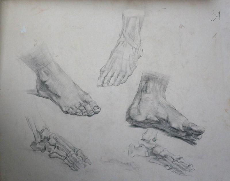 Зарисовки стопы человека в разных ракурсах