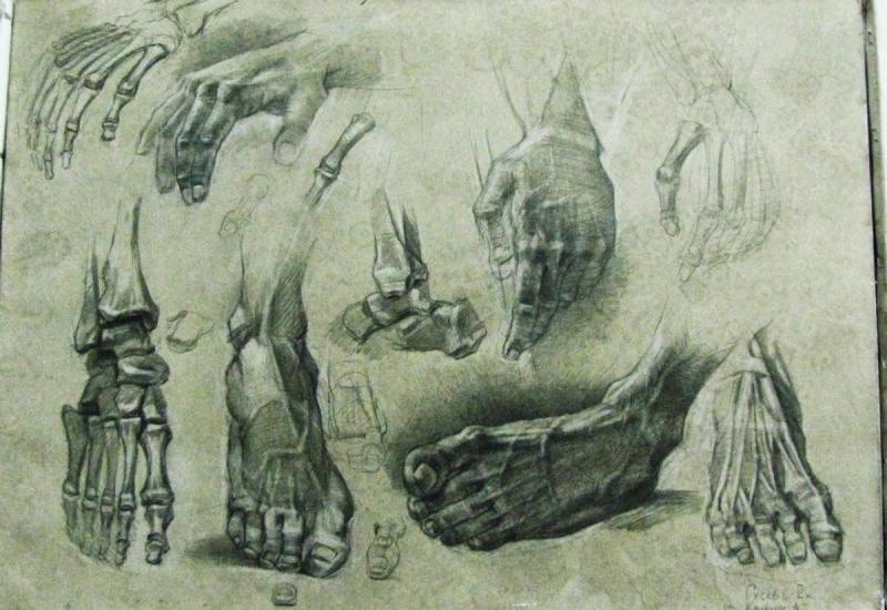 Экорше кисти руки