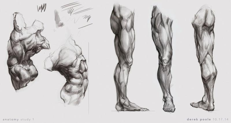 Мышцы ног сзади рефренс