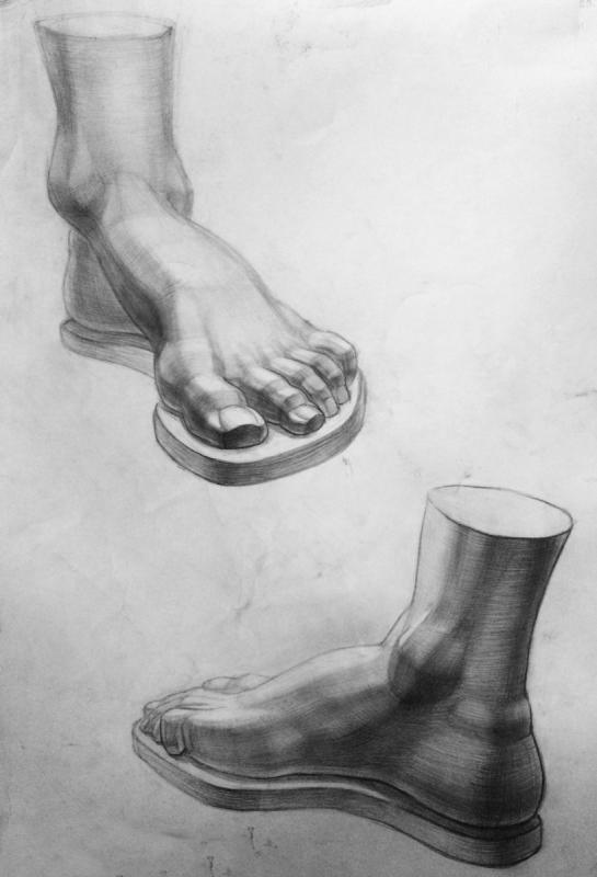 Академический рисунок нога гипс